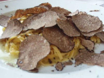 tartufo.jpg